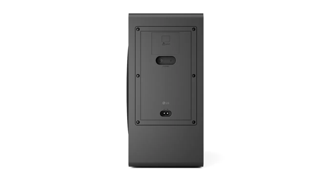 LG DS95TR (2024)