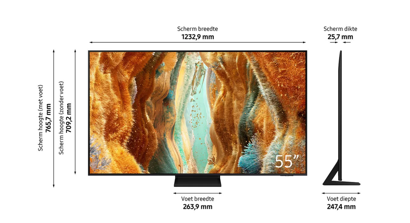 Samsung Neo QLED 4K 55QN73F (2025)