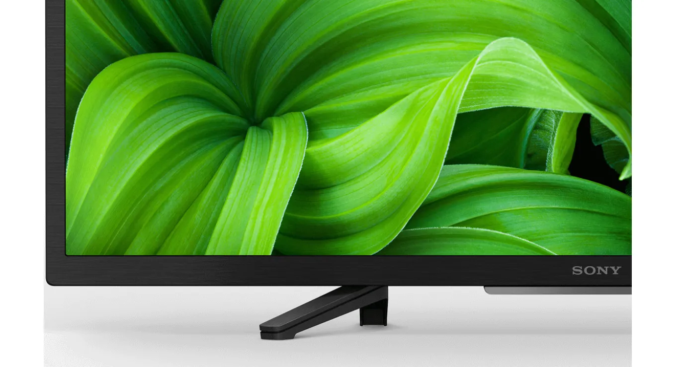Sony Bravia KD-32W804P (2023)