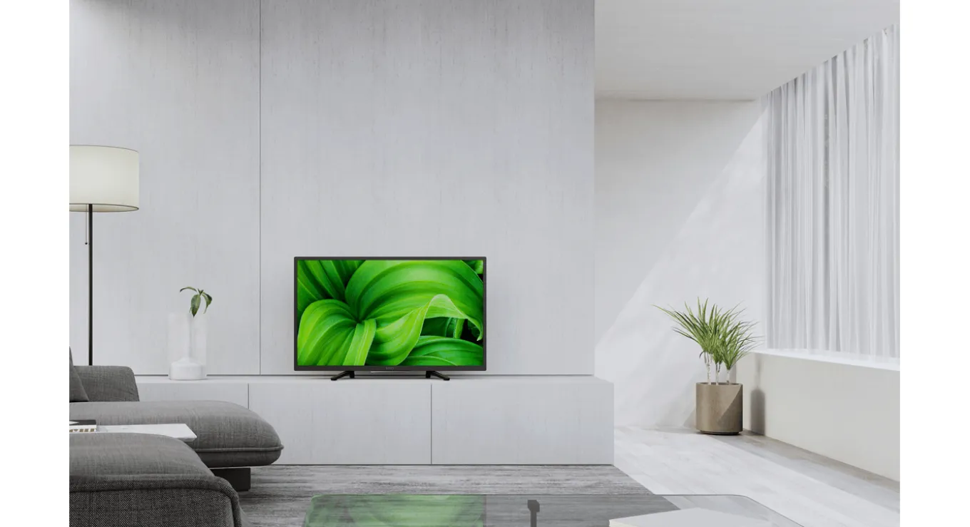 Sony Bravia KD-32W804P (2023)