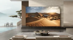 TCL QD Mini LED 115X955 Max (2024)
